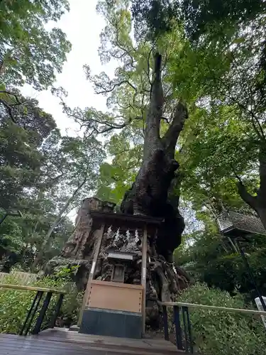 來宮神社(静岡県)