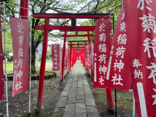 於菊稲荷神社(群馬県)