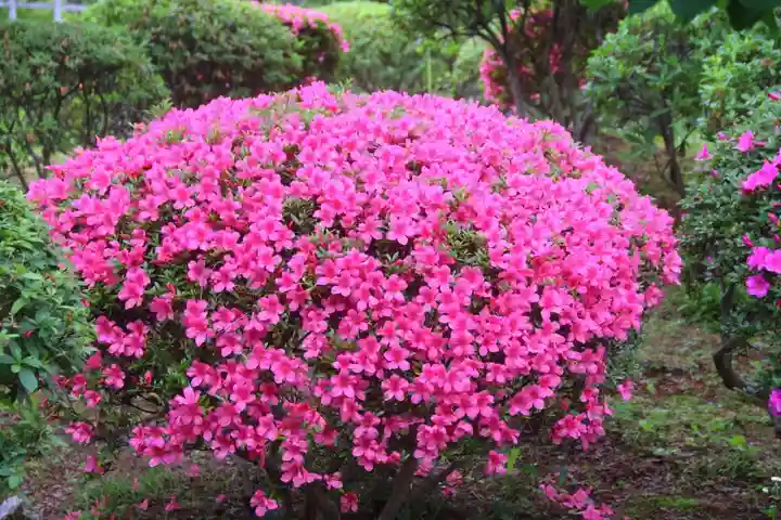 開成山大神宮の庭園