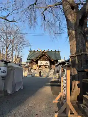 札幌諏訪神社の本殿・本堂