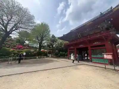 根津神社の{uncategorized: "未分類", other: "その他", undefined: "問題あり", building: "その他建物", grave: "お墓", sacred_gate: "鳥居", guardian: "狛犬", statue: "像", buddha: "仏像", history: "歴史", nature: "自然", garden: "庭園", animal: "動物", pagoda: "塔", temizu: "手水舎", mountain_gate: "山門・神門", sanctuary: "本殿・本堂", subordinate: "末社・摂社", art: "芸術", scenery: "景色", jizo: "地蔵", ema: "絵馬", goshuin: "御朱印", omikuji: "おみくじ", items: "授与品その他", amulet: "お守り", goshuincho: "御朱印帳", eats: "食事", festival: "お祭り", votive_dance: "神楽", shichigosan: "七五三参", wedding: "結婚式", experience: "体験その他", initially: "初詣", around: "周辺", anti_infection: "感染症対策"}