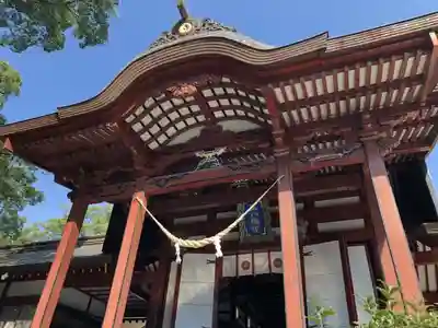 鹿児島神宮の本殿・本堂