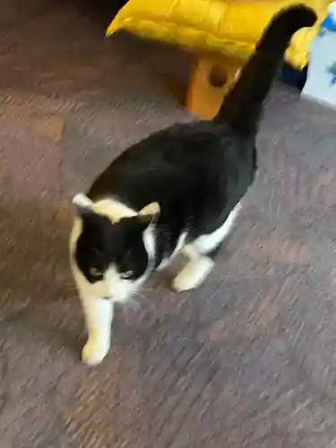 榛名神社(群馬県)