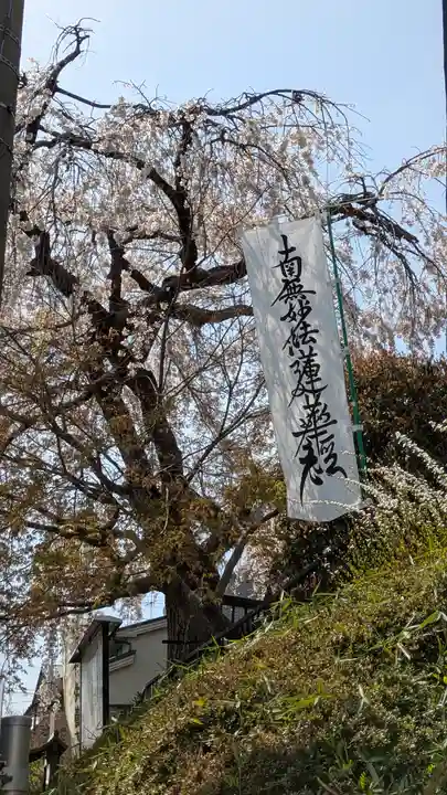 玄隆寺(京都府)