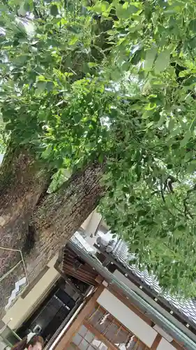 晴明神社(京都府)