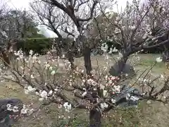 観音寺(愛知県)