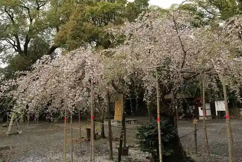 水無瀬神宮(大阪府)