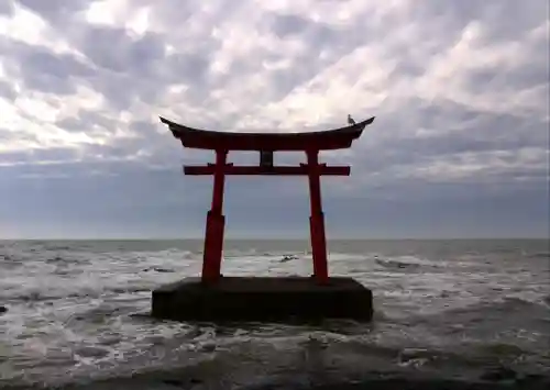 金比羅神社の鳥居