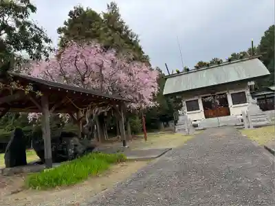 平川神明宮(愛知県)