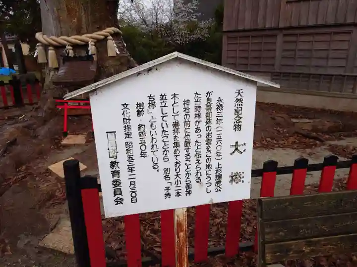 曽根神社の自然