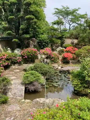 常福寺の庭園