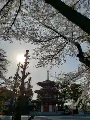 宝仙寺の塔