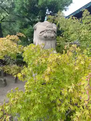 彦島八幡宮の狛犬