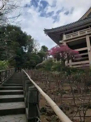 東長谷寺　薬王院のその他建物