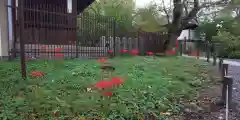 平野神社の自然