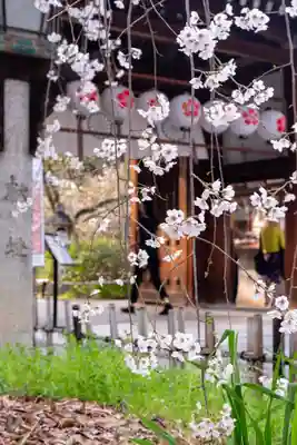 平野神社(京都府)
