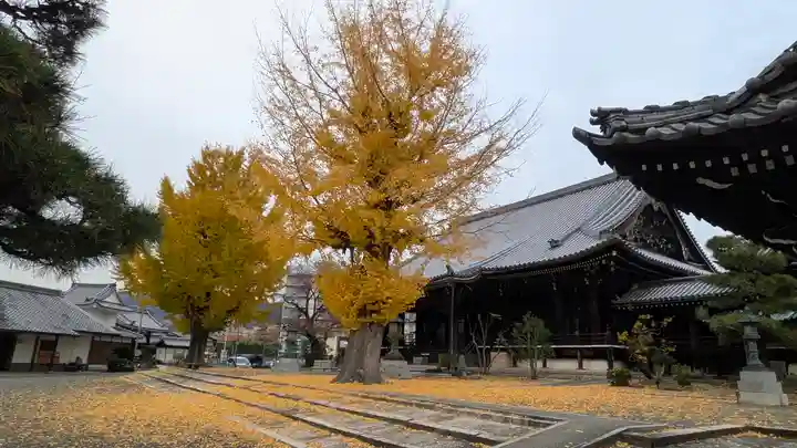 本願寺山科別院(京都府)