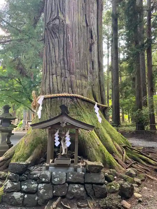 北口本宮冨士浅間神社の末社・摂社