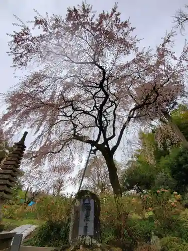 上合寺(福島県)