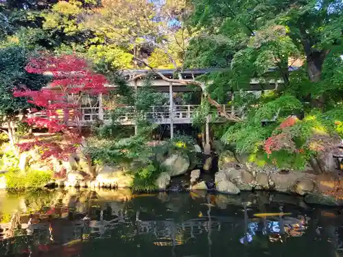 楽法寺（雨引観音）の庭園