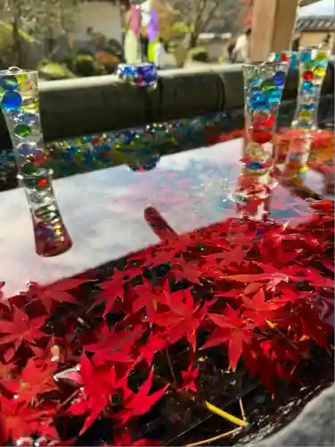 岡寺（龍蓋寺）(奈良県)