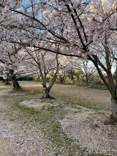 貴船神社の自然