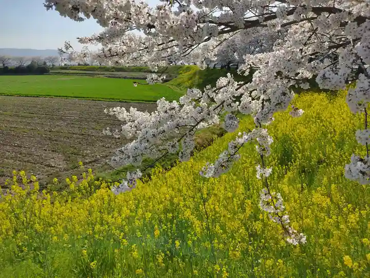 千代保稲荷神社の周辺