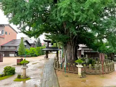 飛騨国分寺のその他建物