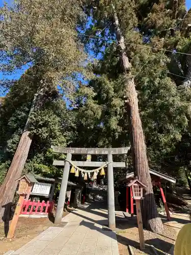 麻賀多神社の{uncategorized: "未分類", other: "その他", undefined: "問題あり", building: "その他建物", grave: "お墓", sacred_gate: "鳥居", guardian: "狛犬", statue: "像", buddha: "仏像", history: "歴史", nature: "自然", garden: "庭園", animal: "動物", pagoda: "塔", temizu: "手水舎", mountain_gate: "山門・神門", sanctuary: "本殿・本堂", subordinate: "末社・摂社", art: "芸術", scenery: "景色", jizo: "地蔵", ema: "絵馬", goshuin: "御朱印", omikuji: "おみくじ", items: "授与品その他", amulet: "お守り", goshuincho: "御朱印帳", eats: "食事", festival: "お祭り", votive_dance: "神楽", shichigosan: "七五三参", wedding: "結婚式", experience: "体験その他", initially: "初詣", around: "周辺", anti_infection: "感染症対策"}