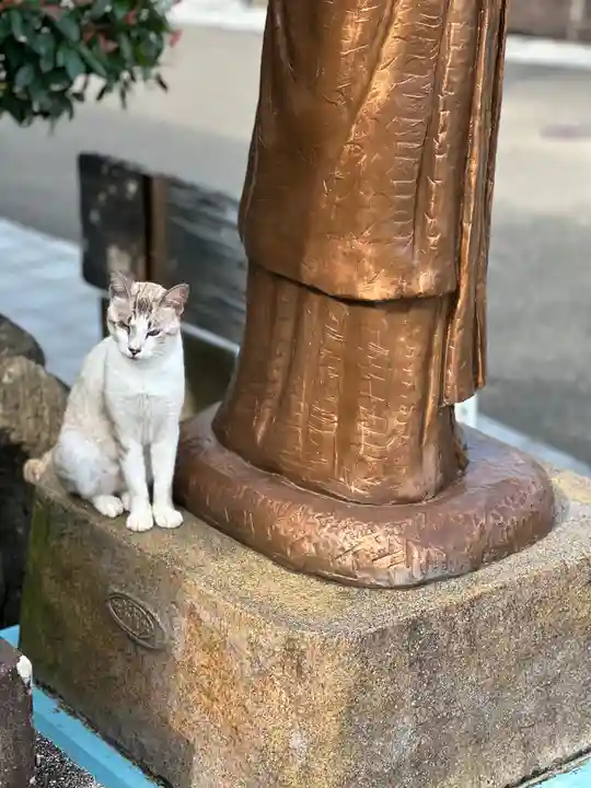 吾平津神社の動物