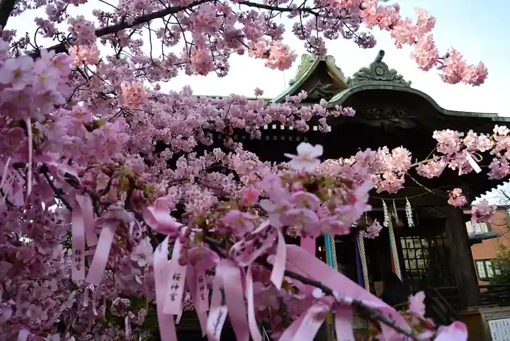 桜神宮(東京都)