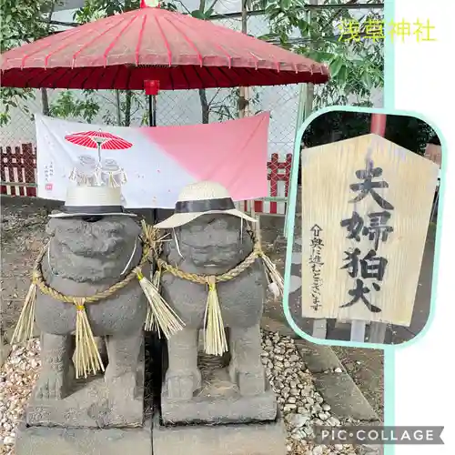 浅草神社の狛犬