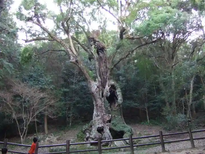 武雄神社(佐賀県)
