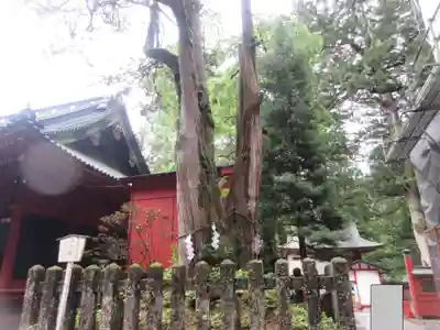 日光二荒山神社(栃木県)