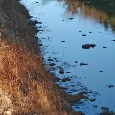 班渓寺の{uncategorized: "未分類", other: "その他", undefined: "問題あり", building: "その他建物", grave: "お墓", sacred_gate: "鳥居", guardian: "狛犬", statue: "像", buddha: "仏像", history: "歴史", nature: "自然", garden: "庭園", animal: "動物", pagoda: "塔", temizu: "手水舎", mountain_gate: "山門・神門", sanctuary: "本殿・本堂", subordinate: "末社・摂社", art: "芸術", scenery: "景色", jizo: "地蔵", ema: "絵馬", goshuin: "御朱印", omikuji: "おみくじ", items: "授与品その他", amulet: "お守り", goshuincho: "御朱印帳", eats: "食事", festival: "お祭り", votive_dance: "神楽", shichigosan: "七五三参", wedding: "結婚式", experience: "体験その他", initially: "初詣", around: "周辺", anti_infection: "感染症対策"}