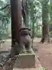 熊野神社の狛犬