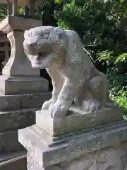 賀露神社の狛犬