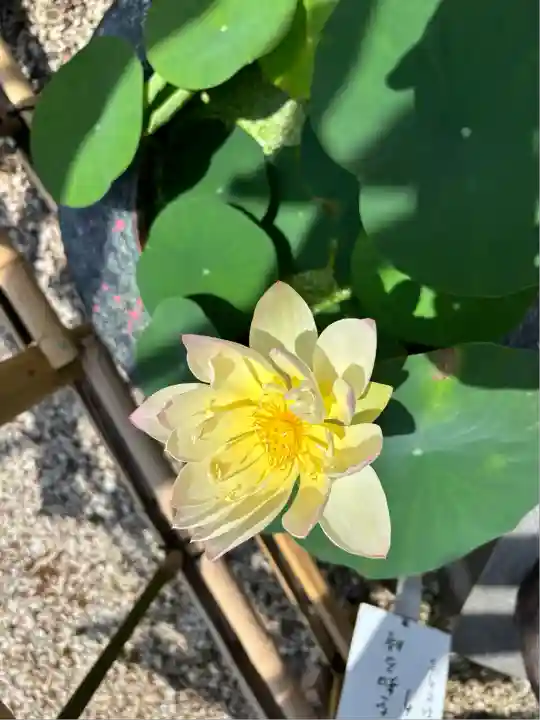 香勝寺(静岡県)