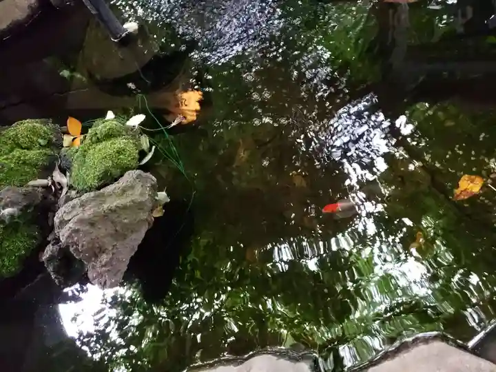 神明氷川神社(東京都)