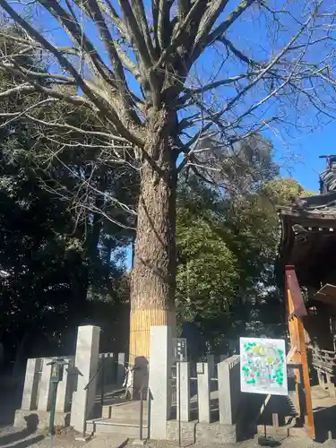 田無神社(東京都)