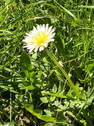 大神神社の自然