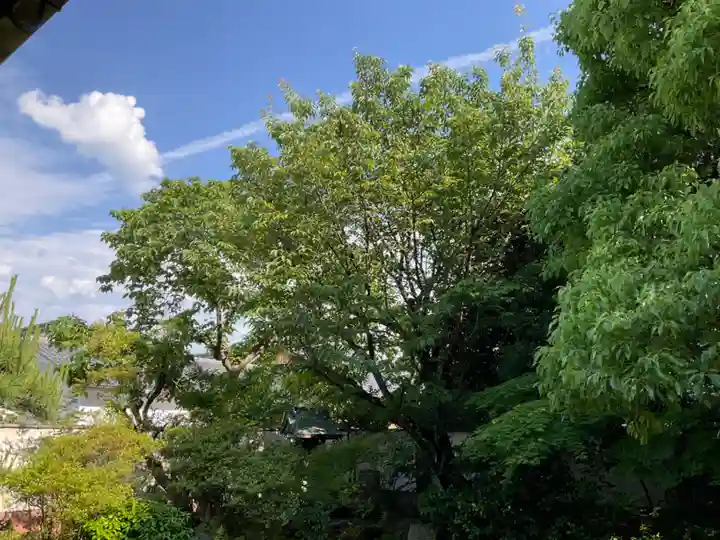 慈受院門跡(京都府)