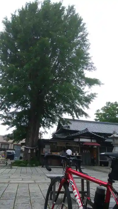 菊田神社(千葉県)