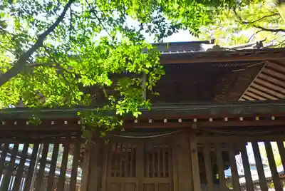川越氷川神社(埼玉県)