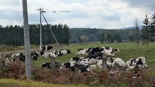 大國神社の周辺