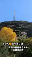 善福寺の{uncategorized: "未分類", other: "その他", undefined: "問題あり", building: "その他建物", grave: "お墓", sacred_gate: "鳥居", guardian: "狛犬", statue: "像", buddha: "仏像", history: "歴史", nature: "自然", garden: "庭園", animal: "動物", pagoda: "塔", temizu: "手水舎", mountain_gate: "山門・神門", sanctuary: "本殿・本堂", subordinate: "末社・摂社", art: "芸術", scenery: "景色", jizo: "地蔵", ema: "絵馬", goshuin: "御朱印", omikuji: "おみくじ", items: "授与品その他", amulet: "お守り", goshuincho: "御朱印帳", eats: "食事", festival: "お祭り", votive_dance: "神楽", shichigosan: "七五三参", wedding: "結婚式", experience: "体験その他", initially: "初詣", around: "周辺", anti_infection: "感染症対策"}