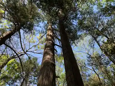 八幡神社の自然