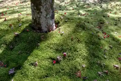 西芳寺(京都府)