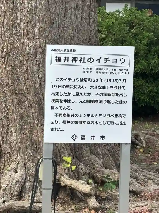 福井神社(福井県)