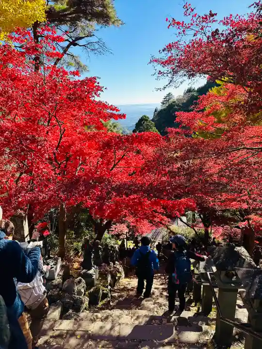 大山寺(神奈川県)
